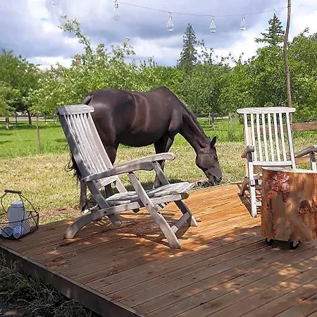 Par Hasard Ou Pas Bed and breakfast