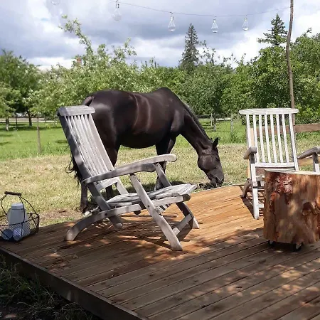 Par Hasard Ou Pas Bed and breakfast 3*