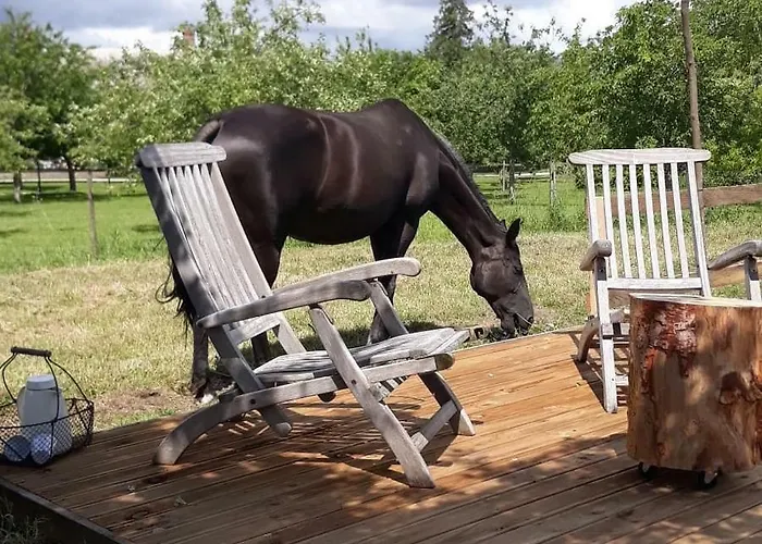 Par Hasard Ou Pas Bed and breakfast 3*